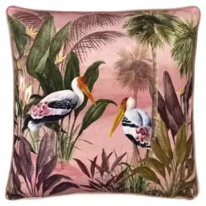 Image of Platalea Botanical Cushion Pink