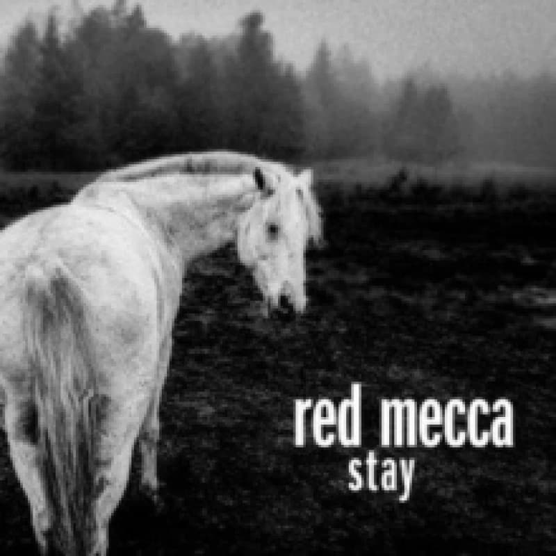 Image of Stay Vinyl