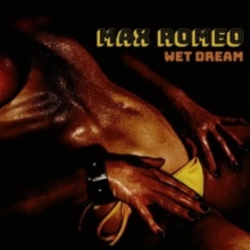 Image of Wet dream Vinyl