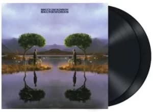 Image of Bruce Dickinson Skunkworks LP multicolor