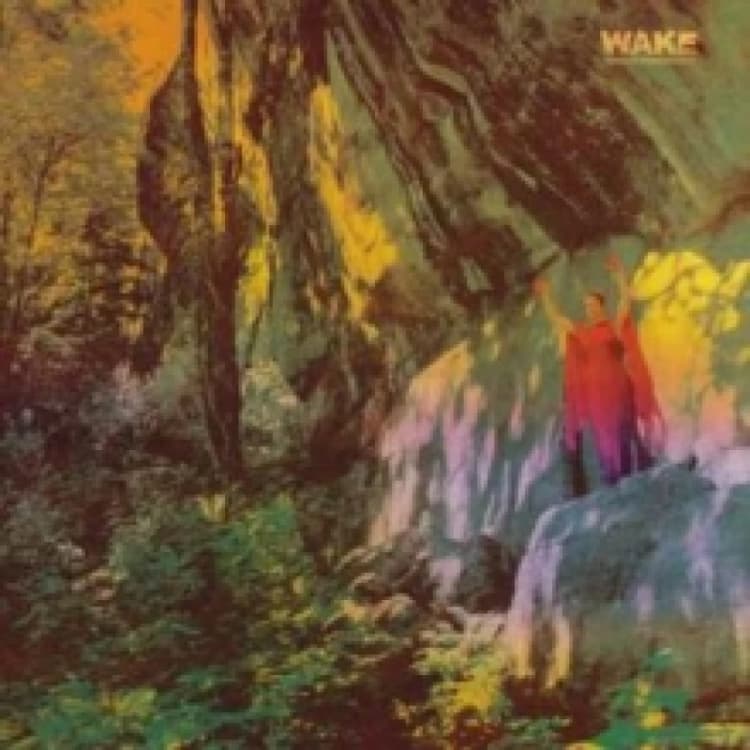 Image of Thought Form Descent Vinyl