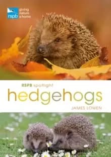 Image of RSPB Spotlight Hedgehogs