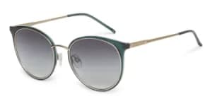 Image of Ted Baker Sunglasses TB1610 527