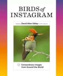 Image of Birds of Instagram : Extraordinary Images from Around the World