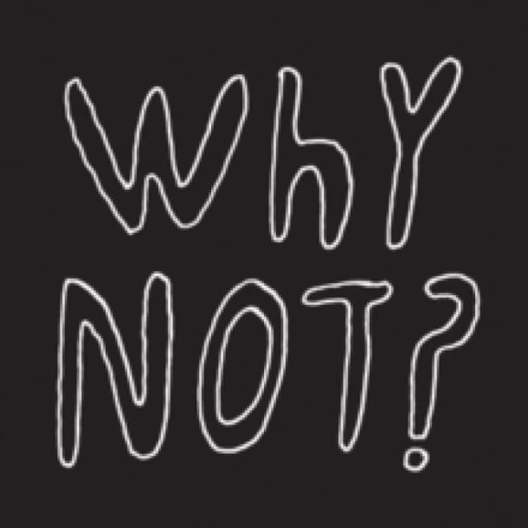 Image of Why Not? Vinyl