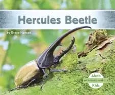 Image of hercules beetle