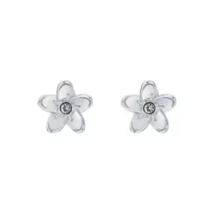 Image of Ted Baker BEAAUU Blossom Flower Stud Earring - Silver