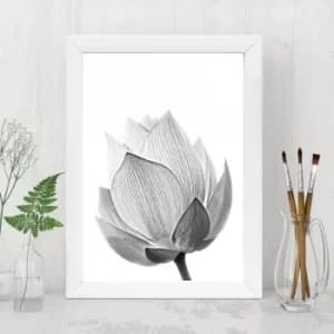 Image of BC81242533 Multicolor Decorative Framed MDF Painting
