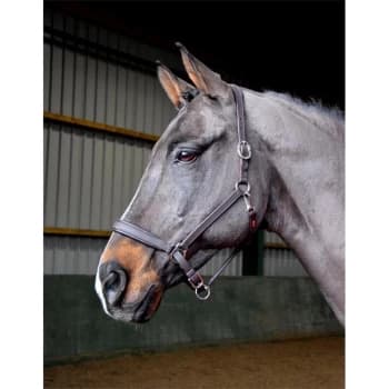 Image of John Whitaker Ready to Ride Headcollar - Brown