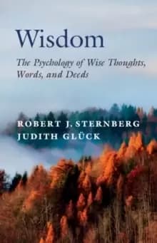 Image of Wisdom : The Psychology of Wise Thoughts, Words, and Deeds