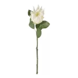 Image of Gallery Interiors Set of 6 Cassius Protea Stem White