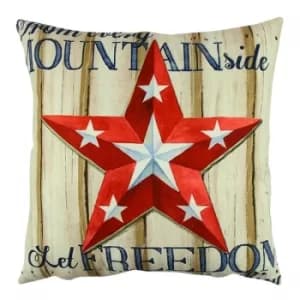 Image of A12612 Multicolor Cushion