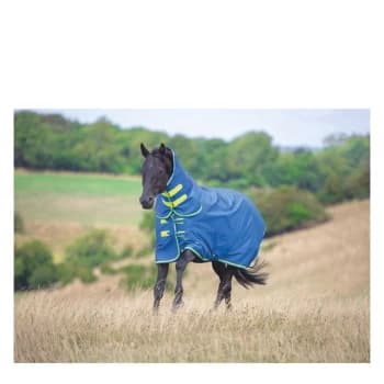 Image of Tempest Original 50gm Combo Turnout - Blue