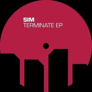 Image of Sim - Terminate Vinyl