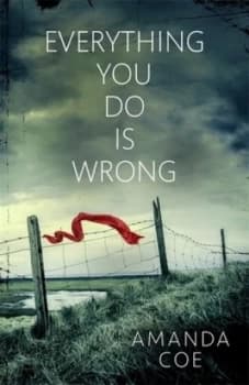 Image of Everything You Do Is Wrong by Amanda Coe Hardback