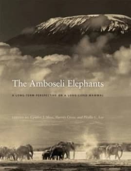Image of The Amboseli elephants by Cynthia J. Moss