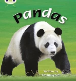Image of Phonics Bug Non-Fiction Set 09 Pandas by Emma Lynch Paperback