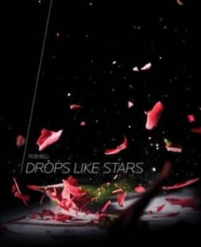 Image of Drops like Stars Book