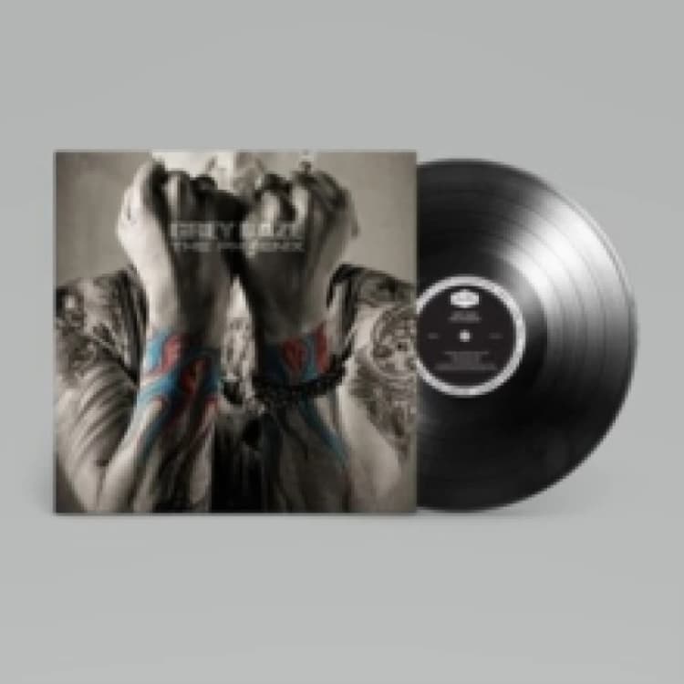Image of Grey Daze The phoenix LP multicolor Onesize Unisex