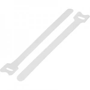 Image of Hook and loop cable tie for bundling Hook and loop pad L x W 240 mm x 16 mm