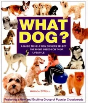 Image of What Dog by Amanda Oneill Book