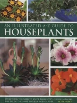 Image of An Illustrated A-Z Guide to Houseplants by Peter Mchoy Hardback