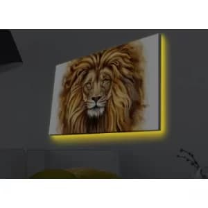 Image of 4570MDACT-021 Multicolor Decorative LED Lighted Canvas Painting