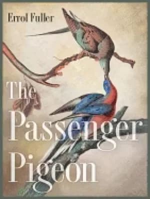 Image of passenger pigeon