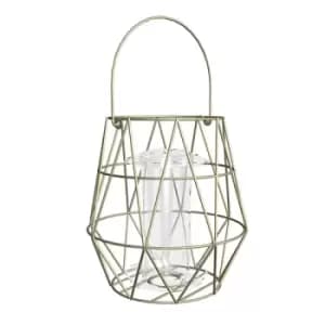 Image of Gardman Aura Small Bird Feeder 1/2 plt Display Tray