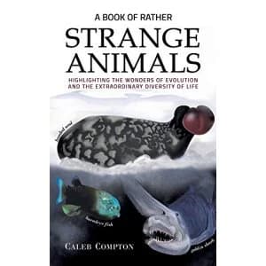 Image of A Book of Rather Strange Animals Highlighting the Wonders of Evolution and the Extraordinary Diversity of Life Paperback /...