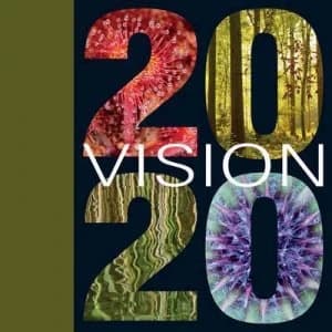Image of 2020 Vision by Donna Wood and 2020 Vision Project Hardback
