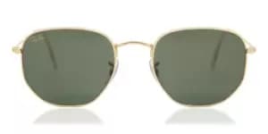 Image of Ray-Ban Sunglasses RB3548 919631