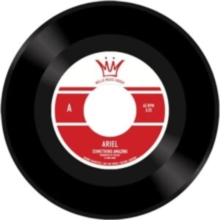 Image of Something amazing Vinyl