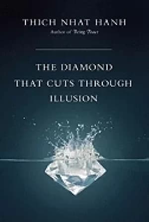 Image of diamond that cuts through illusion