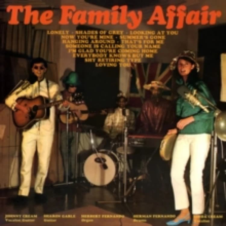 Image of The Family Affair Vinyl