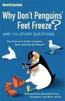Image of Why dont penguins feet freeze? by New Scientist
