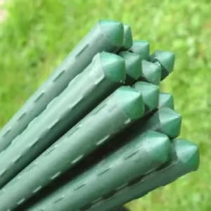 Image of Plant Stake Bundle - 1.2m Long x 11mm o (pack of 100)