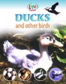 Image of Ducks and Other Birds by Sally Morgan Paperback