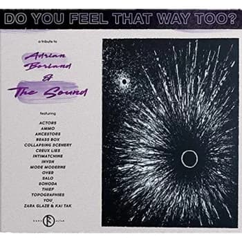 Image of Various Artists - Do You Feel That Way Too? CD