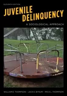Image of Juvenile Delinquency : A Sociological Approach