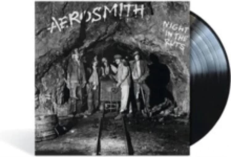 Image of Night in the Ruts Vinyl