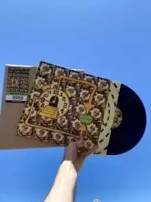 Image of Made in Timeland