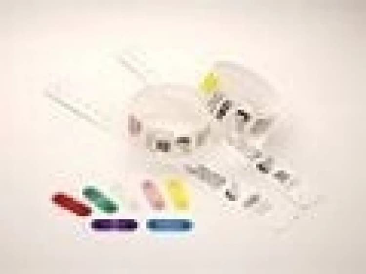 Image of Zebra Zebra Clips for use with QuickClip Wristbands Yellow 97032-YELLOW