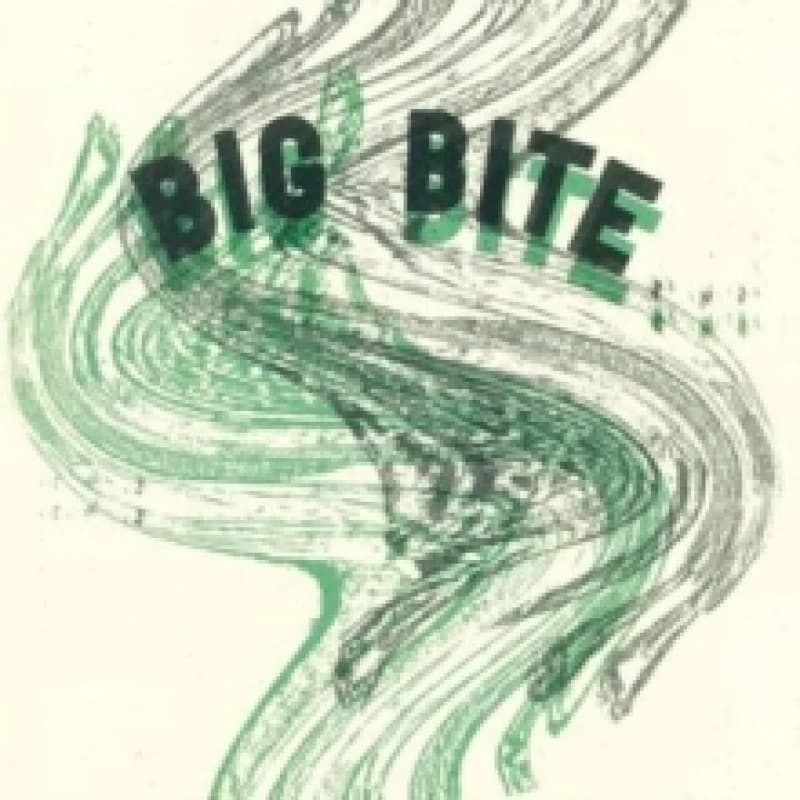 Image of Big Bite Vinyl