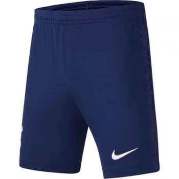 Image of Nike Tottenham Hotspur Home Shorts 2021 2022 - Blue