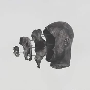 Image of Treha Sektori - The Sense of Dust and Sheer CD