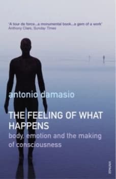 Image of The Feeling of What Happens by Antonio Damasio Paperback