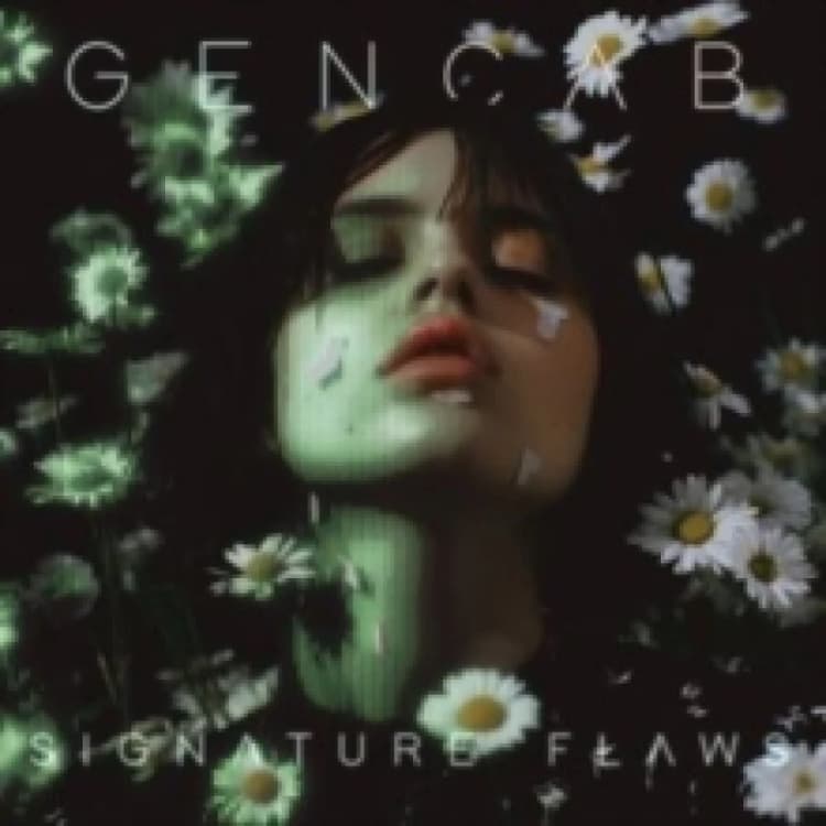 Image of Signature flaws CD / Album
