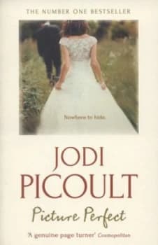 Image of Picture Perfect by Jodi Picoult Book