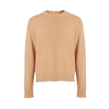 Image of AllSaints Luxor Crew - CAMEL BROWN